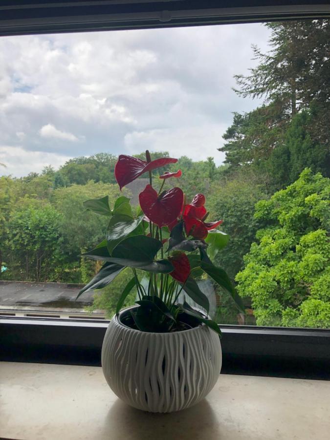 Appartamento Kleine Oase In Essen-Sued Esterno foto